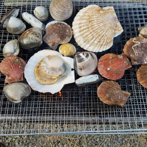 모항벧엘수산 사진