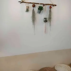 페르마타 리뷰 사진