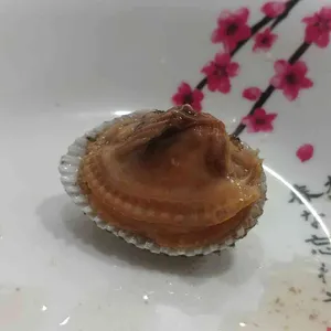 통큰해물삼합 사진