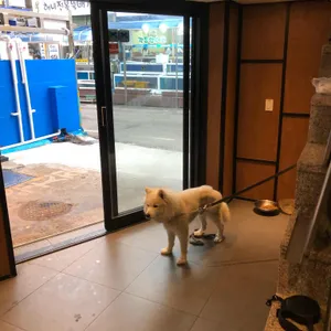 당근마차 리뷰 사진