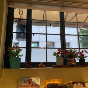 중식당 청담 리뷰 사진