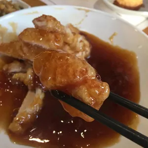 Xin 사진