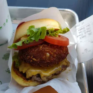 쉐이크쉑 리뷰 사진