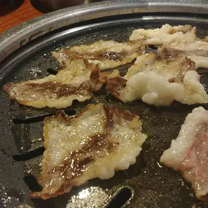 차돌풍 사진