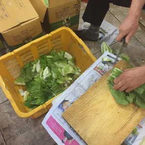 장안삼계탕 사진
