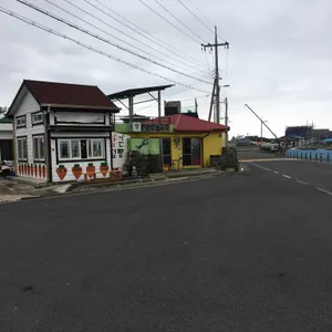 평대 성게 국수 리뷰 사진