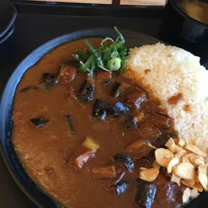 아비꼬 사진