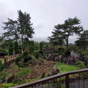 미스틱3도 리뷰 사진