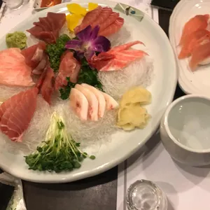 푸른참치 사진