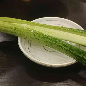 경복궁 삼계탕 리뷰 사진