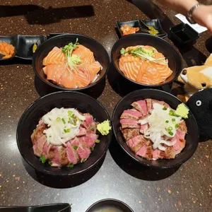 홍대개미 사진