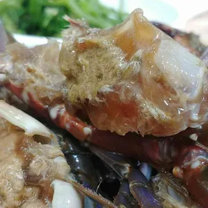 강화나루터밴댕이 사진