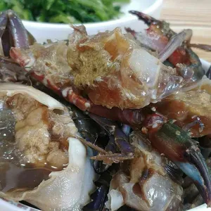 강화나루터밴댕이 사진
