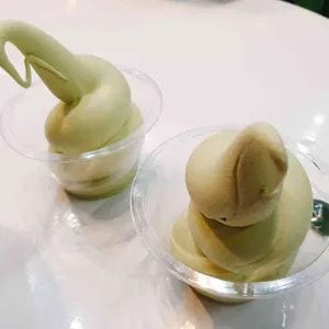 밀크팜 사진