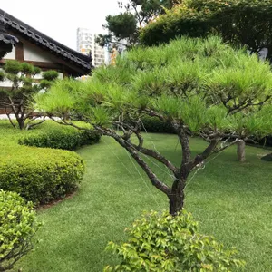 석원 리뷰 사진