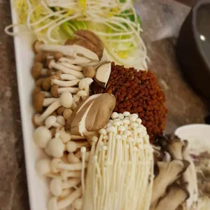 샤브향 사진