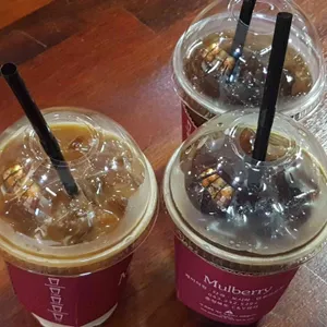 멀베리 대표 사진