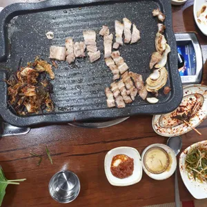 돼지가 사진