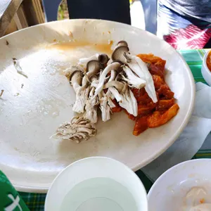 초원에서 사진