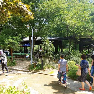 초원에서 리뷰 사진
