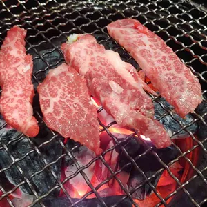 소나무 리뷰 사진