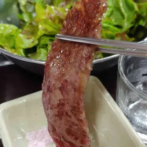 소나무 리뷰 사진
