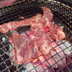 소나무 리뷰 사진