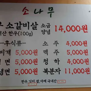 소나무 리뷰 사진