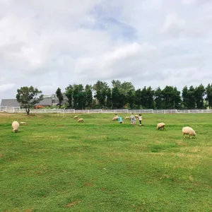 바램 리뷰 사진