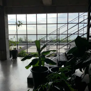 울트라마린 리뷰 사진