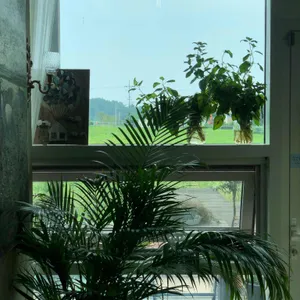 카페 이시도르 리뷰 사진