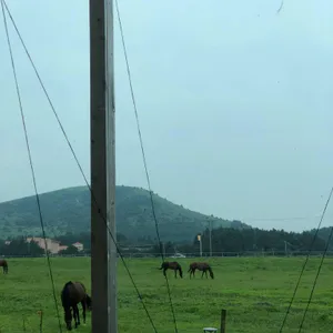 카페 이시도르 리뷰 사진