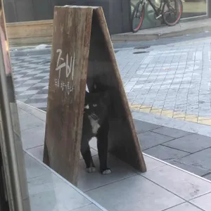 주비 두루 향기롭다 대표 사진
