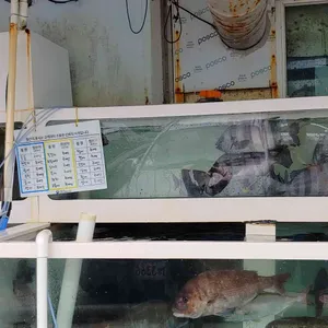 삼팔횟집 리뷰 사진