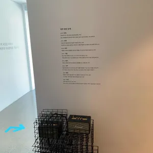 제주맥주 리뷰 사진