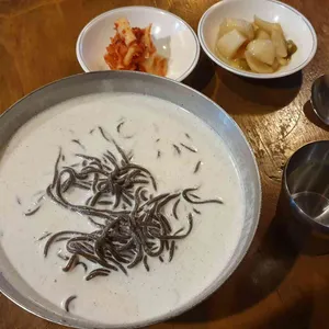 국시코기 사진