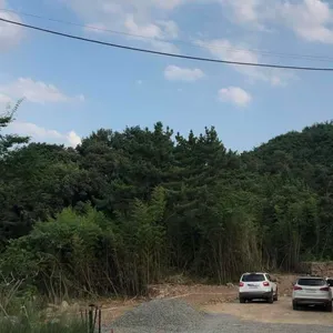 카페 기브온 리뷰 사진