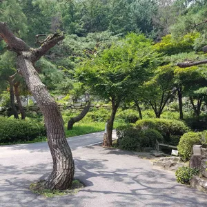 평창갈비 리뷰 사진