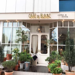 카페드블랑 리뷰 사진
