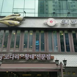 오코다리 리뷰 사진