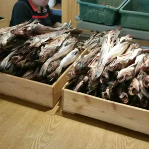 오코다리 리뷰 사진