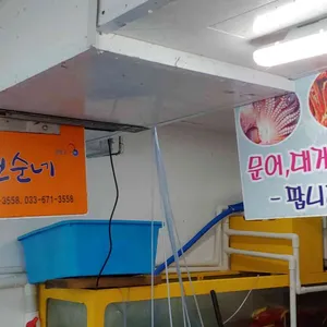 물치항활어회센타 리뷰 사진