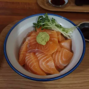 네코정 사진