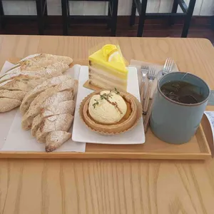 타니예르 사진