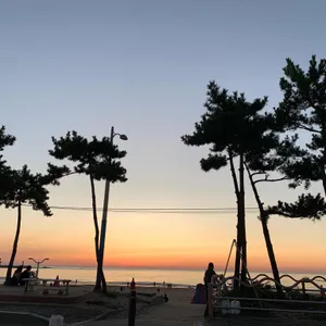 전라도횟집 리뷰 사진