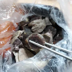 섹시한 떡볶이 꼬마김밥 사진
