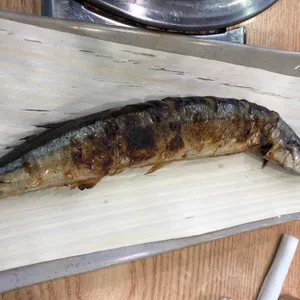 생태한마리 사진