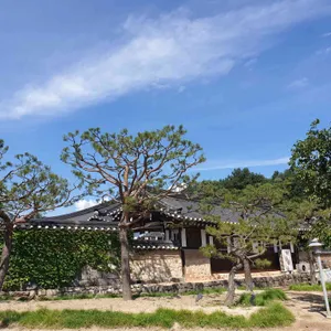 고당 리뷰 사진