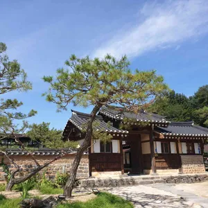 고당 리뷰 사진