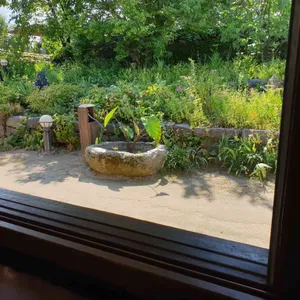 고당 리뷰 사진